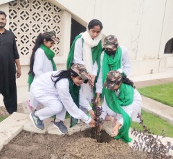 National Monsoon Tree Plantation Campaign 2025