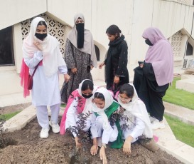 National Monsoon Tree Plantation Campaign 2025