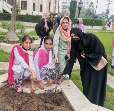 National Monsoon Tree Plantation Campaign 2025
