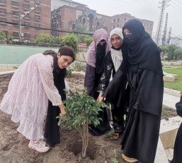 National Monsoon Tree Plantation Campaign 2025